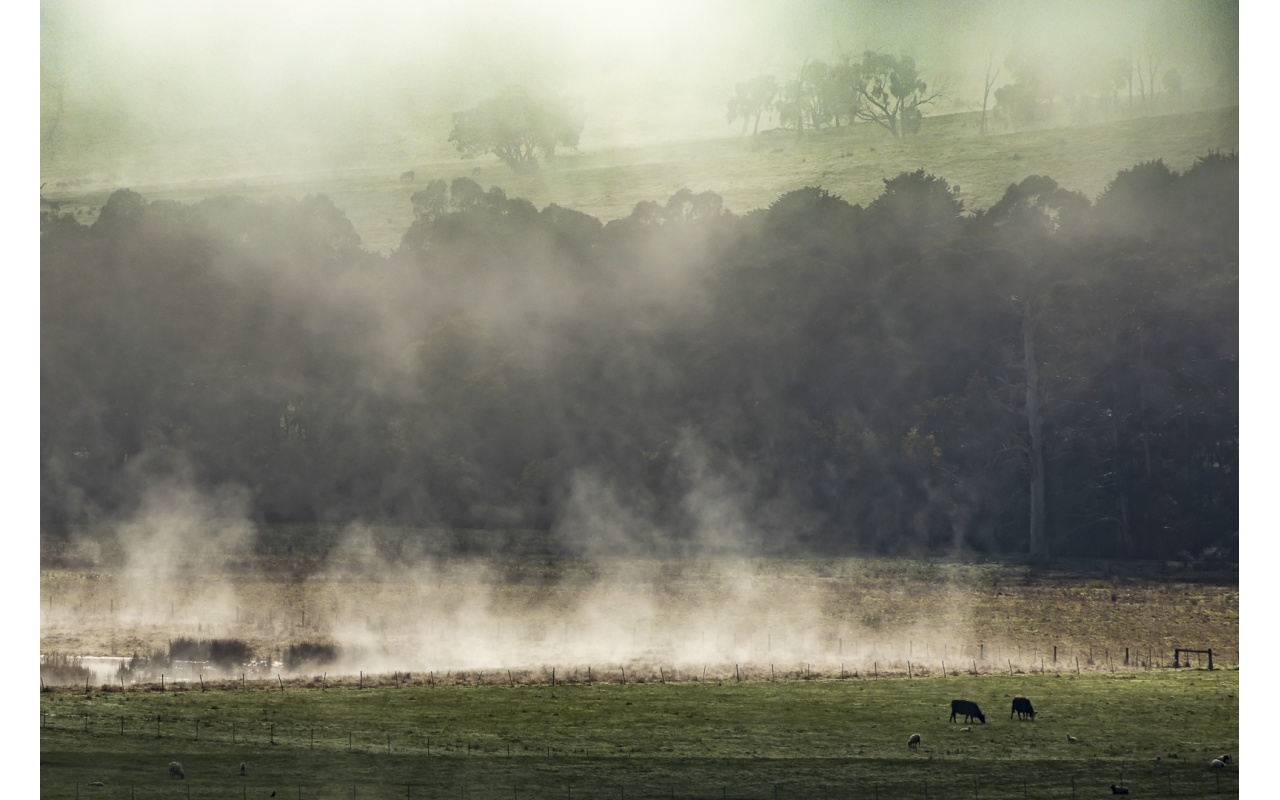 Melbourne Camera Club