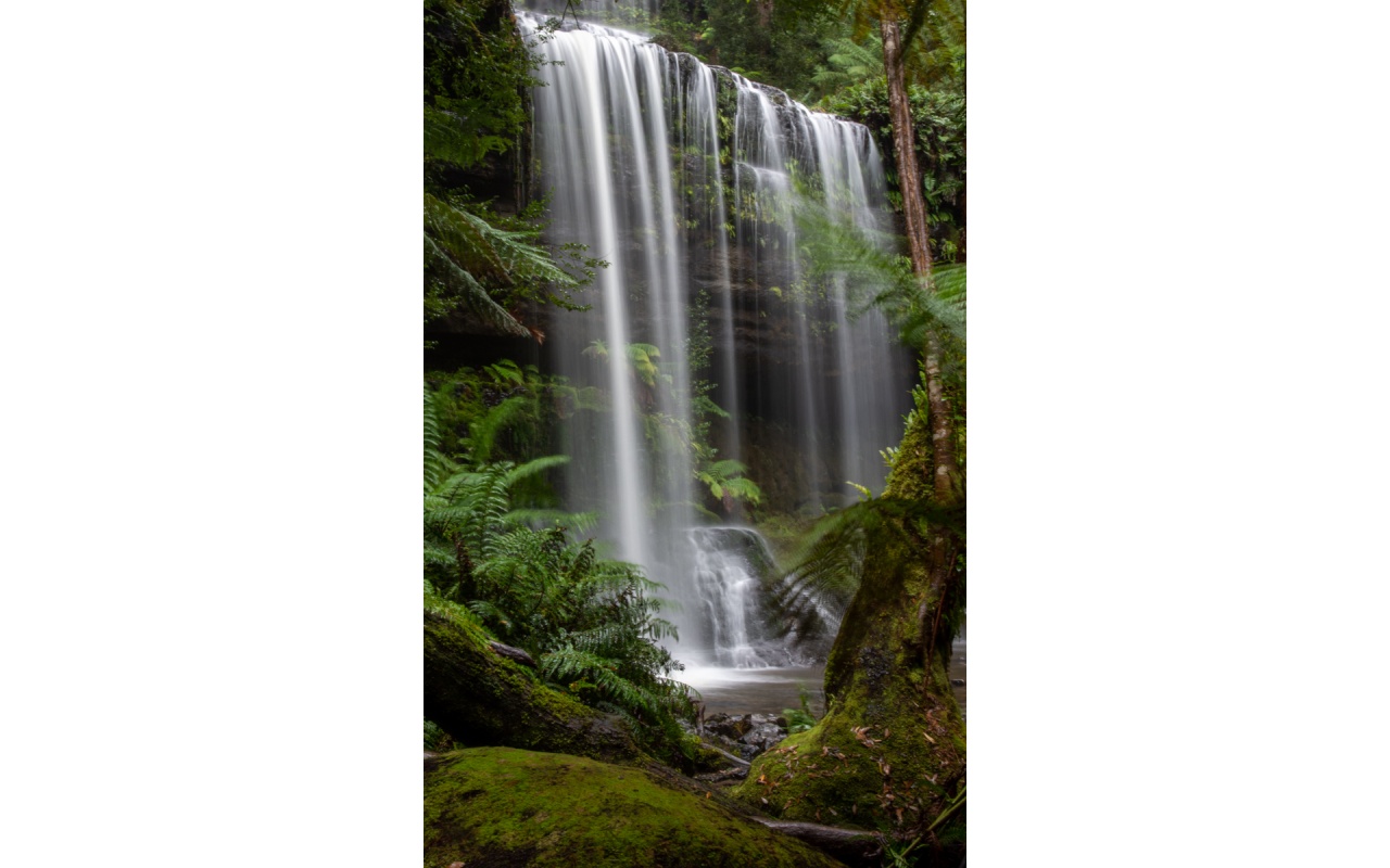 Melbourne Camera Club