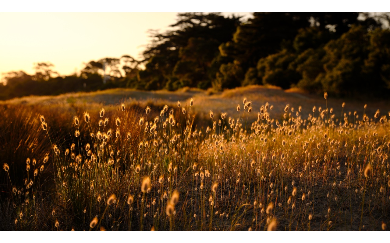 Melbourne Camera Club