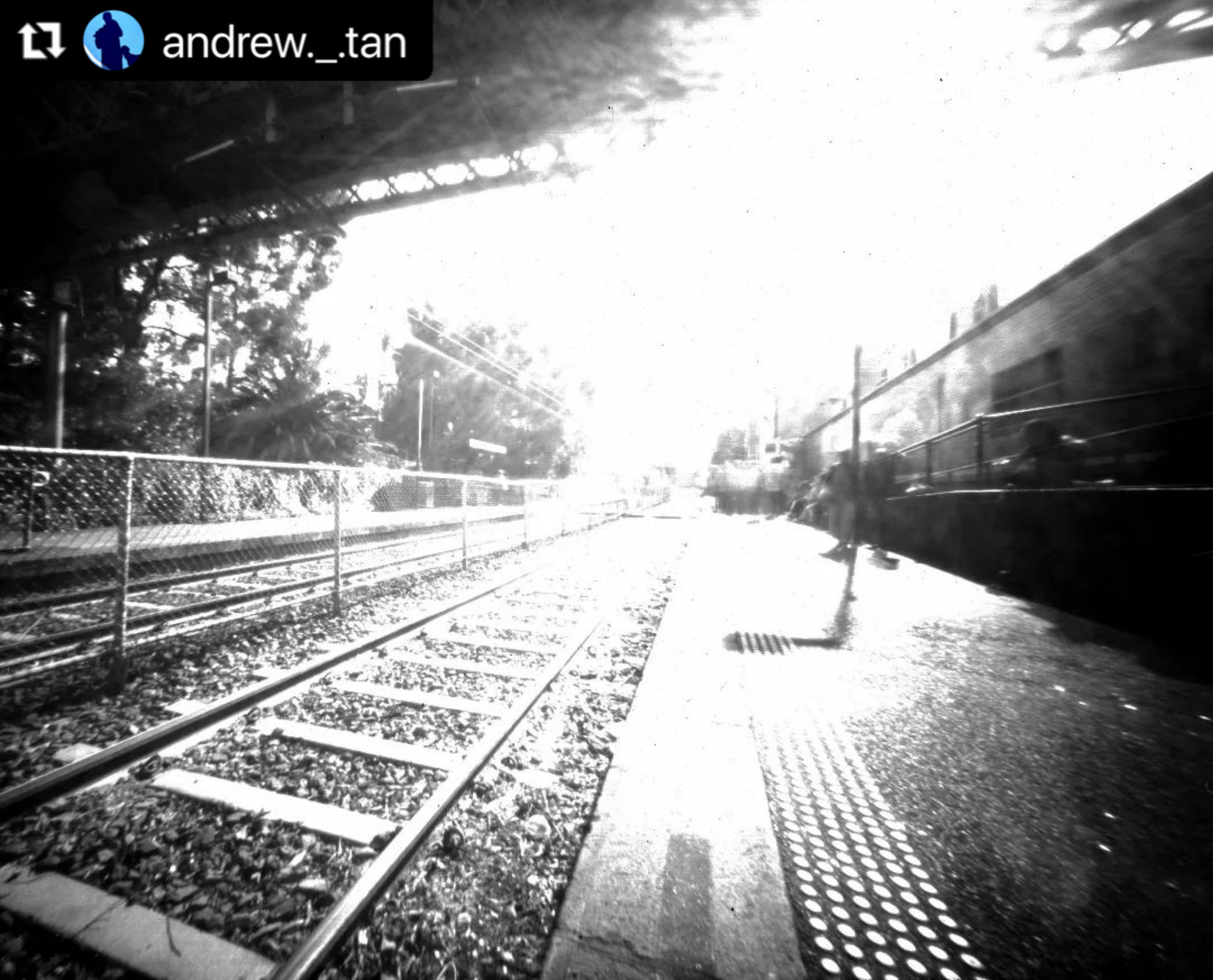 Melbourne Camera Club A Premium Photography Club in Melbourne