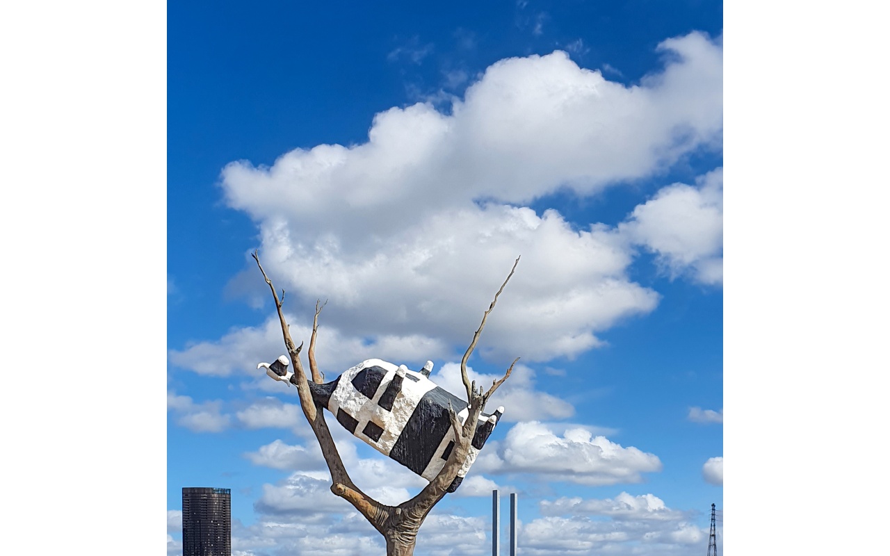 Melbourne Camera Club