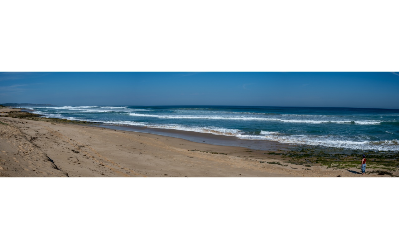 Melbourne Camera Club