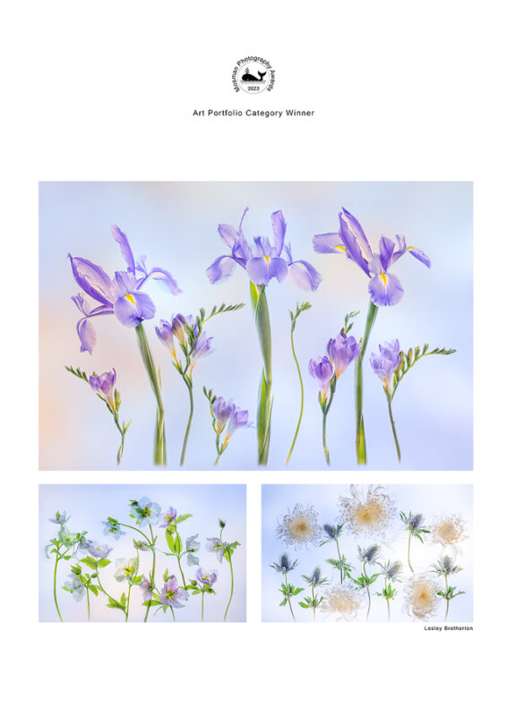 Melbourne Camera Club