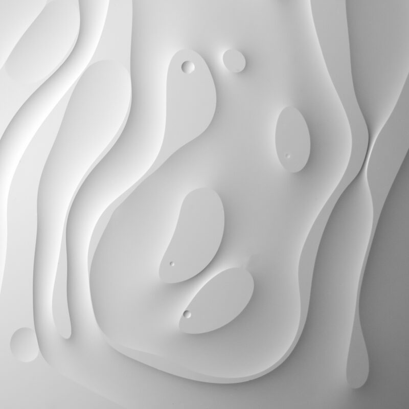 Melbourne Camera Club