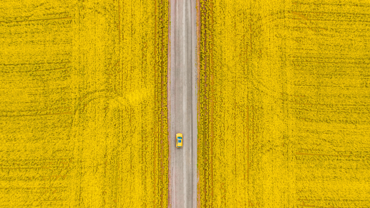 Melbourne Camera Club