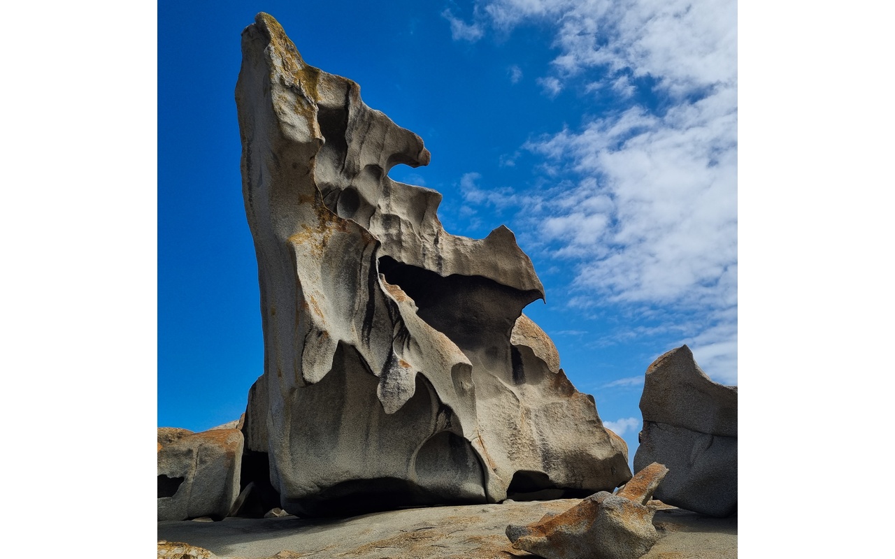 Melbourne Camera Club