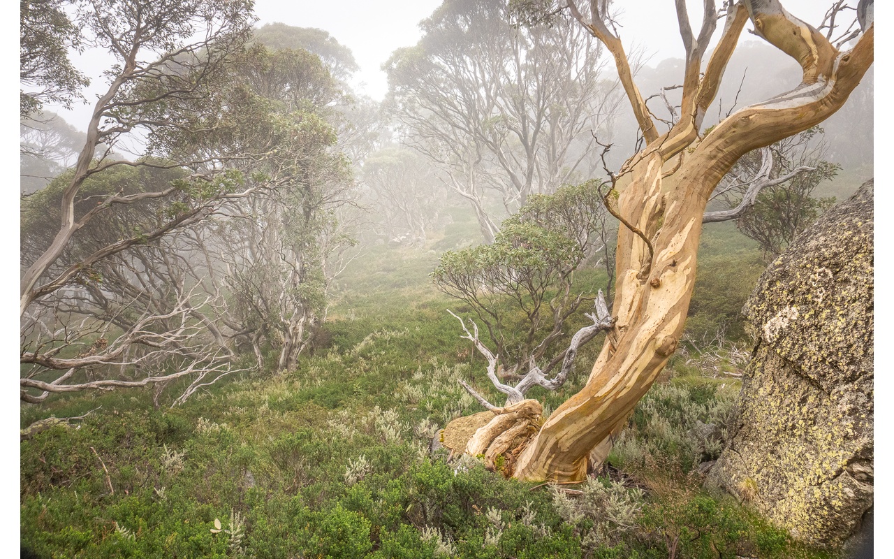 Melbourne Camera Club