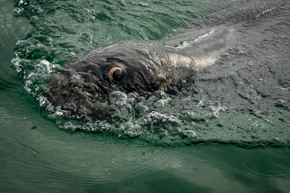 Melbourne Camera Club