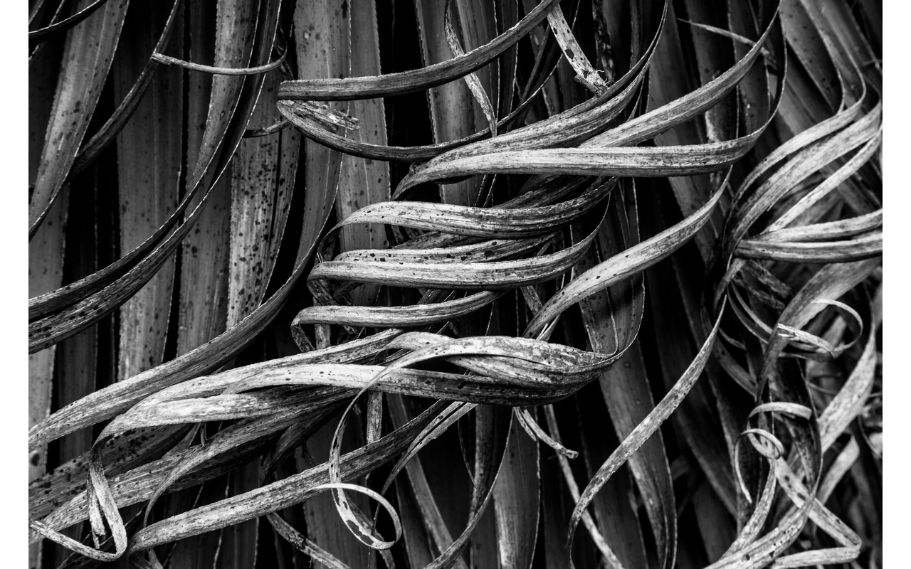 Melbourne Camera Club