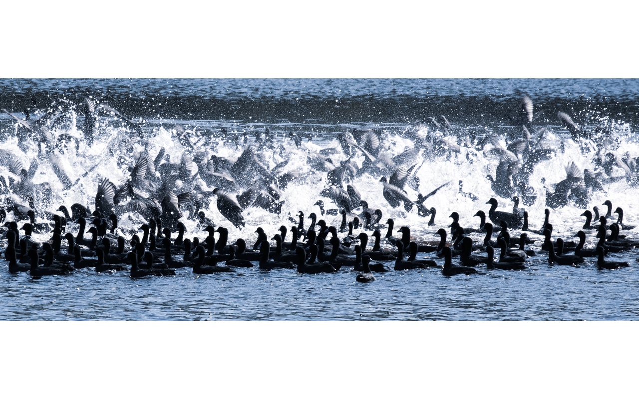 Melbourne Camera Club