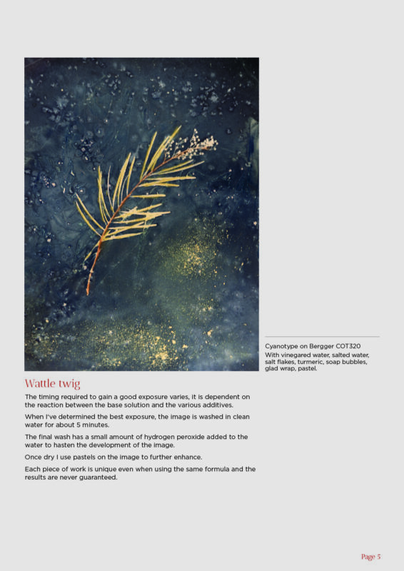 Melbourne Camera Club