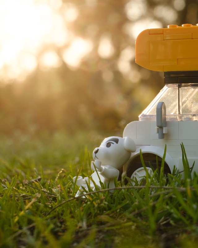 Melbourne Camera Club