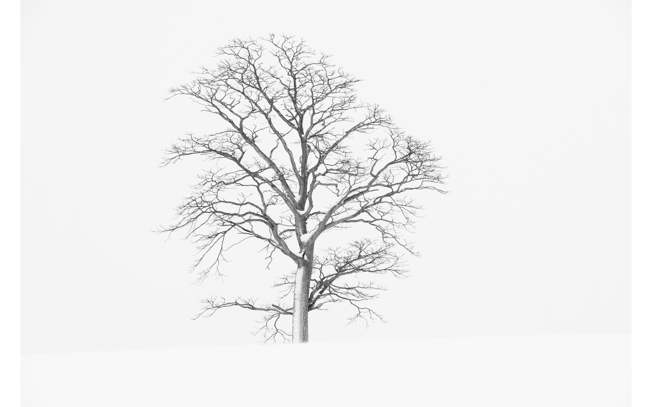 Melbourne Camera Club