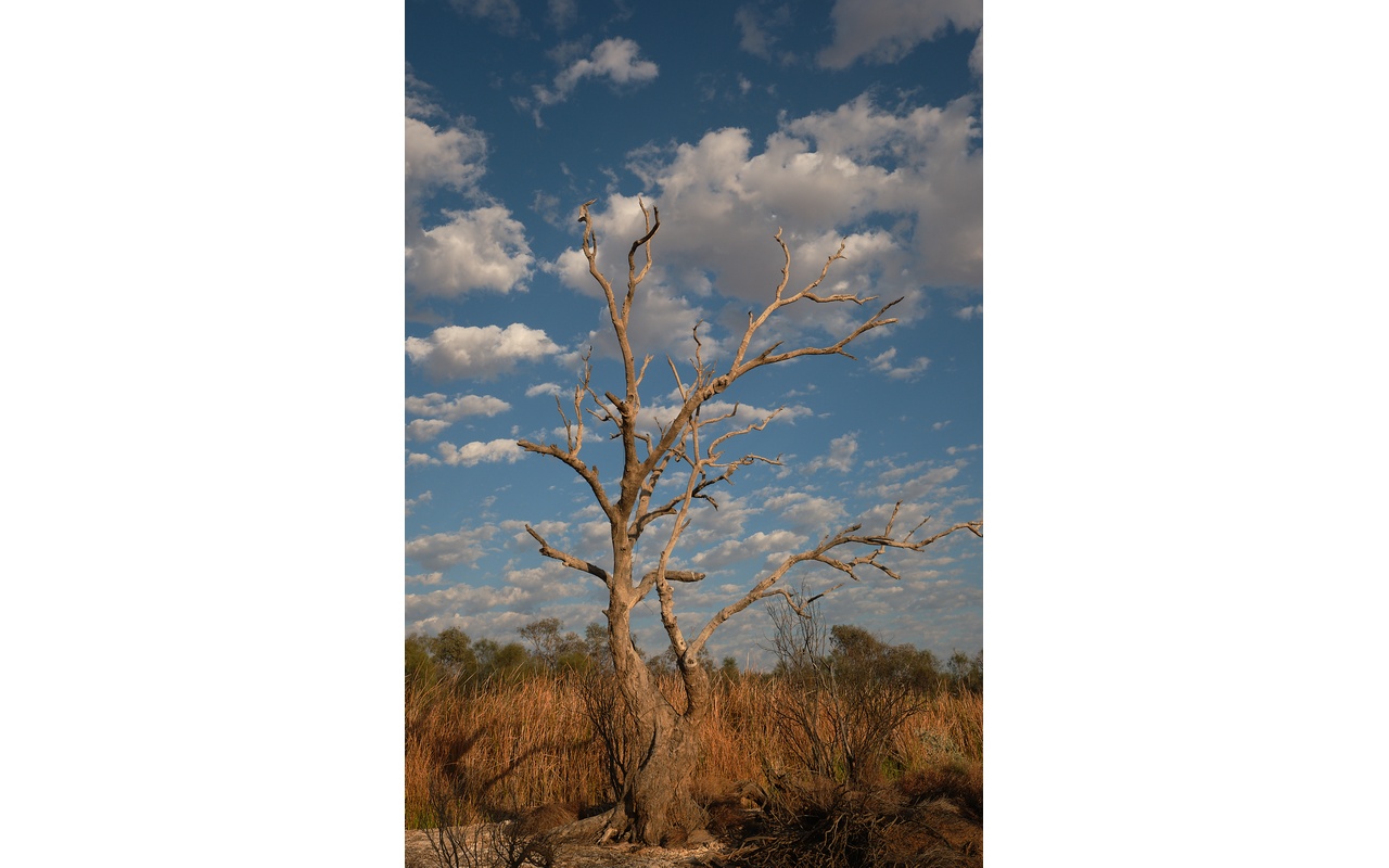 Melbourne Camera Club